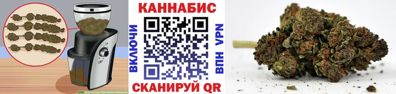 Купить где  Кызыл  Canna-Cookies конопля 