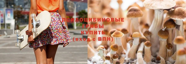соль ск Арсеньев