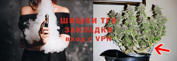 шишки Аркадак