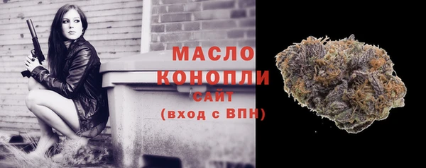шишки Аркадак