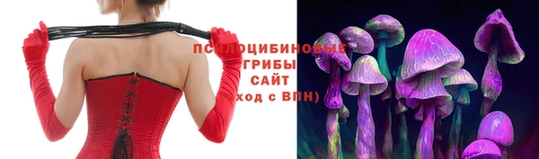 шишки Аркадак