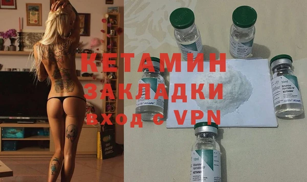 шишки Аркадак