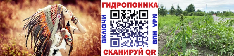 Канабис OG Kush  Купить закладки  Кызыл 